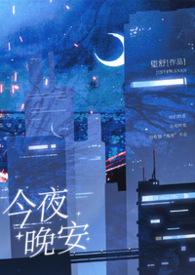 今夜晚安笔趣阁无弹窗